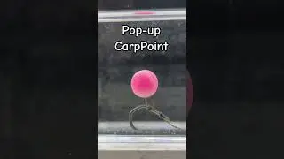 Pop-up #карпфишинг #рибалка #риболовля #carpfishing #fishing #popup #насадки #бойлы #carpfishinglife