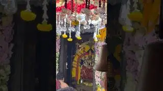 Shri Nimishamba Devi 🙏Temple#nimishambika #devi#temple #rrnagar#navaratri#devotional #shorts #viral