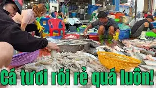 Chợ cá Bình Điền ngày 28/12/2025||Rất nhiều cá tươi và giá rẻ siêu rẻ!!