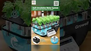Sistema de Cultivo Hidrop&oacute;nico Growell: &iexcl;Tu huerto en casa sin ensuciarte las manos! 🌱✨