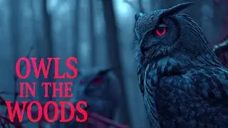 3 Horror Stories of the Cursed Red Oak Woods | Relaxing Rainfall Sounds to Fall Asleep to