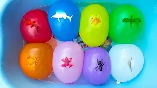 Learn colors with Balloons Surprise Animals inside it || Play with toys || For Kids
