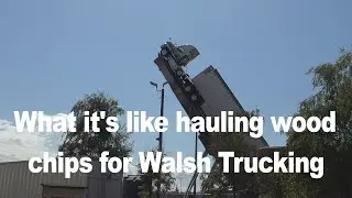 Walsh Trucking wood chip drivers are local and home daily
