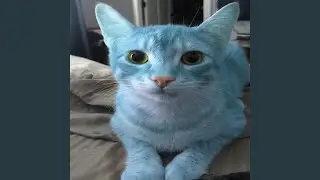 im so blue for you