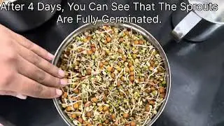 How to Make Healthy Sprouts at Home | Health Benefits & Nutrition