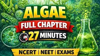 Algae in 27 Minutes 🔥 | NCERT Biology | Concept Clarity Guaranteed