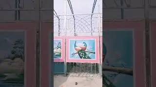Mala #delo #ka aata #hai &viral & video