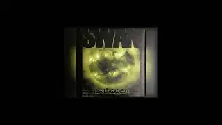 SWAN - Dragonstyle