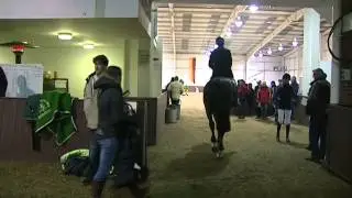 Showjumping Behind the Scenes at Addington Manor - March 2009