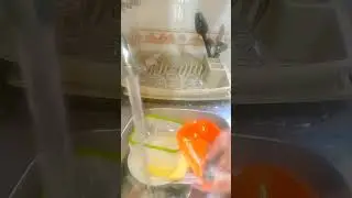#اكسبلور#جمعة_مباركة #روتيني_اليومي
