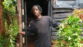 Clearing My Bushy Home & Preparing Firewood for the Kitchen!!!🌿🔥|Village Life with @Chrispine_Papa 