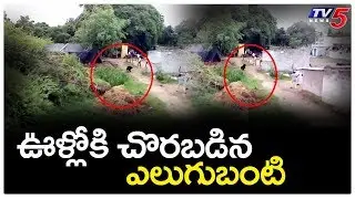 Bear Attacks Villagers in Nizamabad District Dharmaram Village | Viral Video | TV5 News