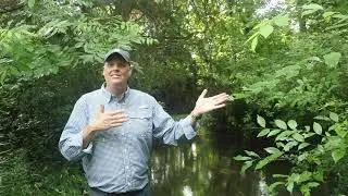 Master Naturalists Present: Big Spring Preserve in Dallas's Great Trinity Forest