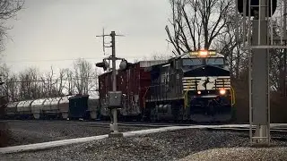 NS manifest! 