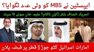 MBS and Epstein Shocking Development UAE plan to take over Qatar