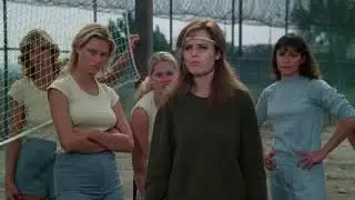 The Concrete Jungle Final Cat Fight