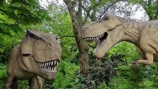 Bronx Zoo Member's Day July 10 2025