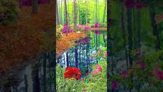 Beautiful peace garden nature fullscreen whatsapp status #youtube #shorts #youtubeshorts #softpeace