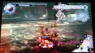 Soul Sacrifice Dual Illecebra Solo quick run guide (1:50) IX. Serpentine Forest Lurkers