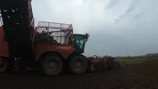 More Beet Lifted and Jobs