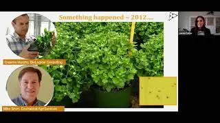 Greenhouse IPM 101, Vol.8: Thrips Biocontrol in Canada
