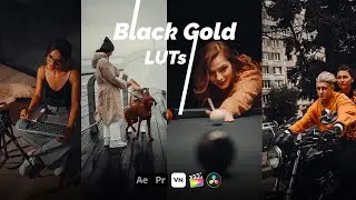 Black Gold Lut | Black Moody Lut | Black Lut | Black Lut For VN | VN Dark Filter | Free LUTs 2022