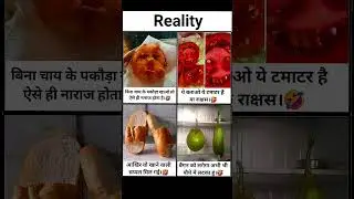 Reality Motivation Memes | Funny But Inspiring Video #motivation #inspiration #quotes #memes