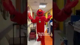 #recap #halloween2023 w/ #elmo #costume #cosplay #fursuit