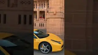 Rajasthan Royal men / Short video