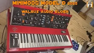 Minimoog 2025 meets WALRUS audio sloer