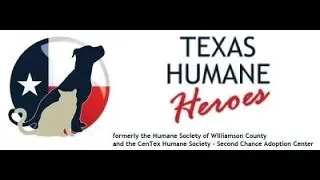 Texas Humane Heroes - Paws & Reflect