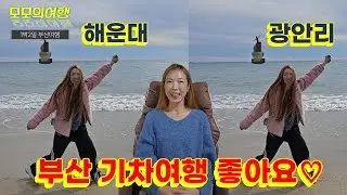 부산 기차 여행🚅 ㅣ해운대ㅣ부산갈매기ㅣ광안리ㅣ부산국밥ㅣ모모의여행🚗
