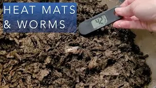 A Heat Mat Warning - Worm Bin Catastrophe Narrowly Averted