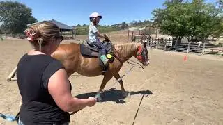 Cloverleaf Ranch Summer Camp in Santa Rosa, CA