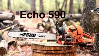Echo 590 Chainsaw with Dukes top end kit and Carburetor. Walk around and cutting. 