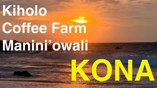 Hawaii + Maui (December 2025) - Day 10 [Coffee Farm Kiholo Manini'owali]