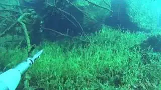 Подводная охота на карьере (май 2013)