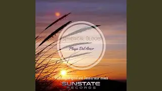 Playa Del Amor (Original Mix)