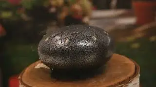 4Living Дъждовен барабан / Глюкофон