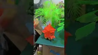 plastic bottle decor collections #bestoutwaste #diy #handmade #recycle #plasticbottlecraft