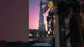 The Hidden Beauty of Dubai