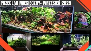 [Przegląd Miesięczny]-WRZESIEŃ 2025 [Moje CZTERY całkiem różne akwaria]