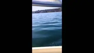 First 2013 sail in a CL14