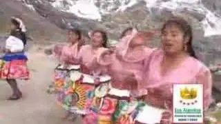 las chicas rosas y claveles - adios para siempre