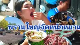 ทีมงานคนหากินหมานอีกแล้วจัดหนักเลย//ທີມງານຄົນຫາກິນຫມານອີກແລ້ວຈັດຫນັກເລີຍ//Phurda ภูรดา สาวลาว🇱🇦