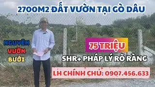 2700M 40M Mặt Tiền 200 TC 75 Triệu, Đường &Ocirc; T&Ocirc;, gần Chợ, tại G&ograve; Dầu T&acirc;y Ninh rẻ lắm rồi.