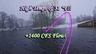 Fly Fishing For Steelhead - Day 1 - Salmon River, NY (01/11/2026) - I Almost Lost $1K of Equipment!!