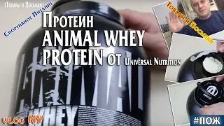 Протеин ANIMAL WHEY PROTEIN от Universal Nutrition. Спортивное питание. VLOG NY