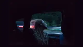 Playlist to cry in your car | Sad song collection