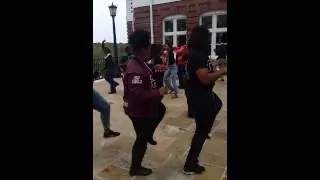 Gamma Sigma Sigma 2014 Stroll OFF